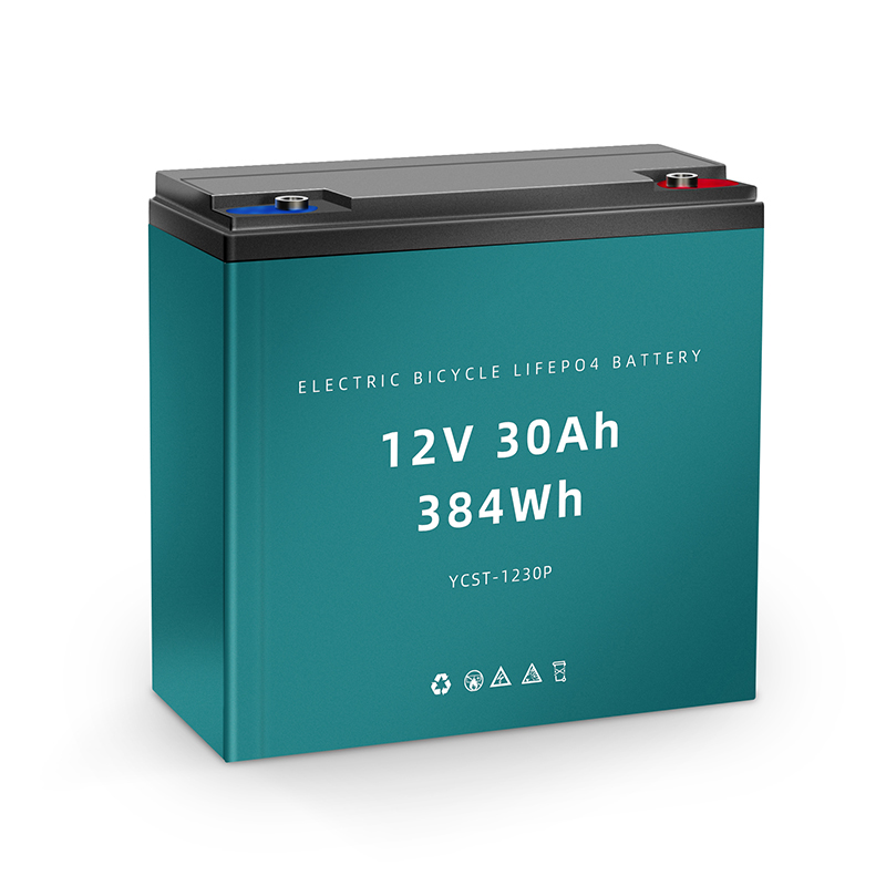 12V/24V for Electric Vehicle